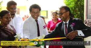 Art Evolution'24