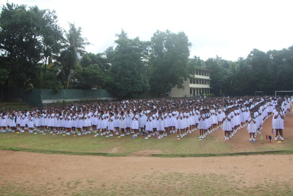 2024 G.C.E. AL Examination – Outstanding Results! 14